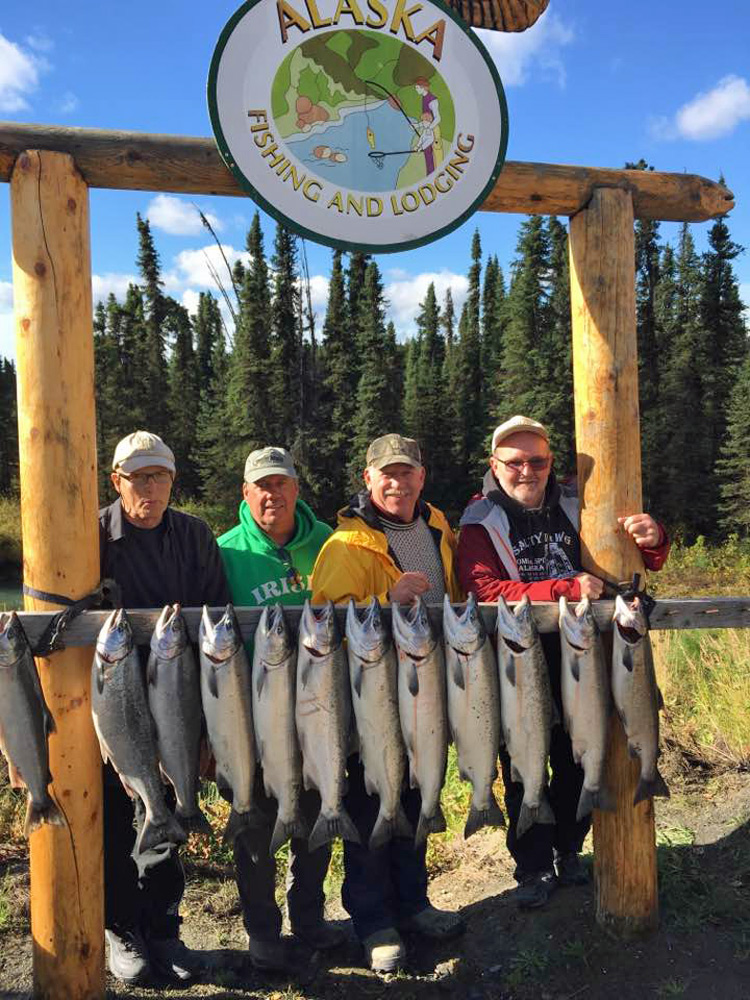 Alaska Fishing And Lodging Kenai River Guides Coho Catch 1000