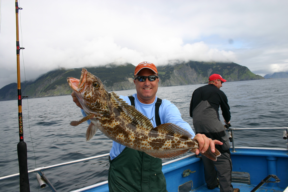 Alaska Fishing And Lodging Ling Cod Charters 1000