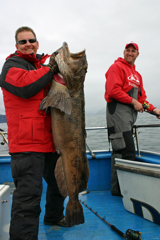 Berkley Fishing In Alaska For Monster Ling Cod 1000