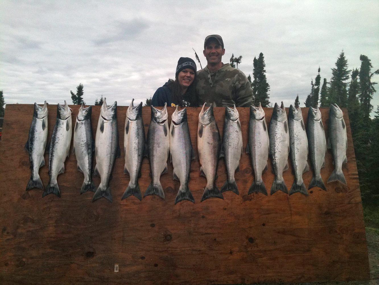 Board Full Of Sockeye Salmon In Alaska 1000