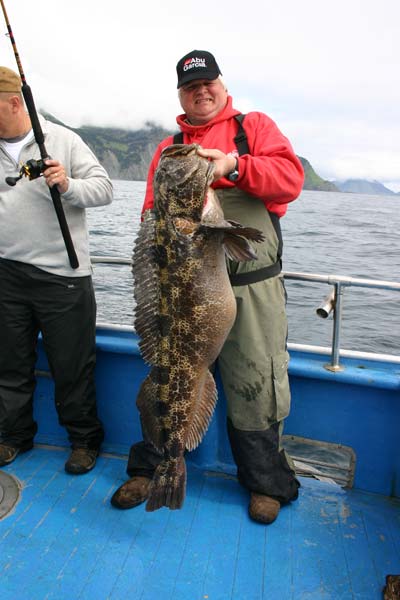 Giant Ling Cod Fishing Caught With Alaska Fishing And Lodging 400