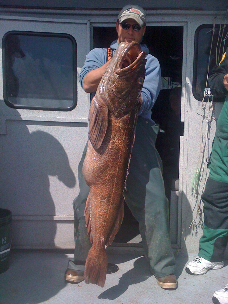 Alaska Ling Cod Fishing