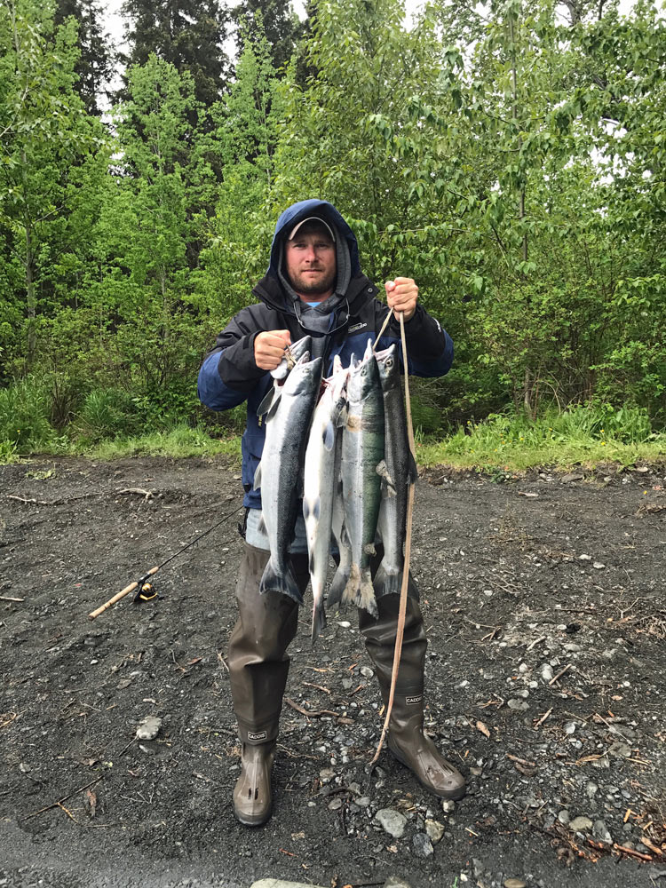 Nice Catch Of Sockeye Salmon In Alaska 1000