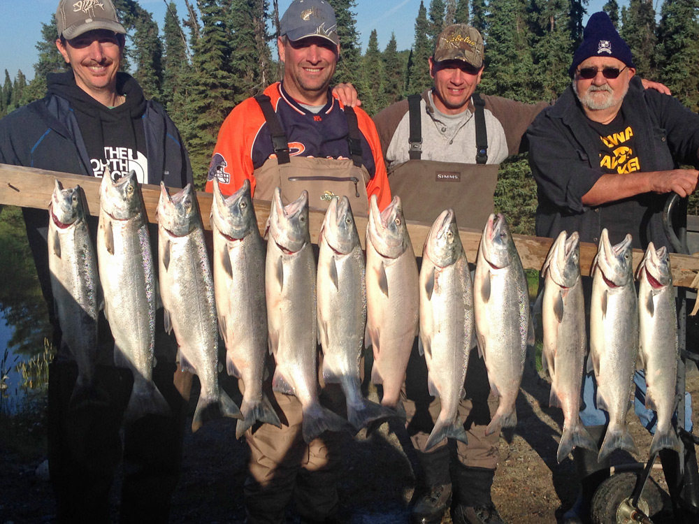 Sockeye Limits Caught On Alaskas Kenai River 1000