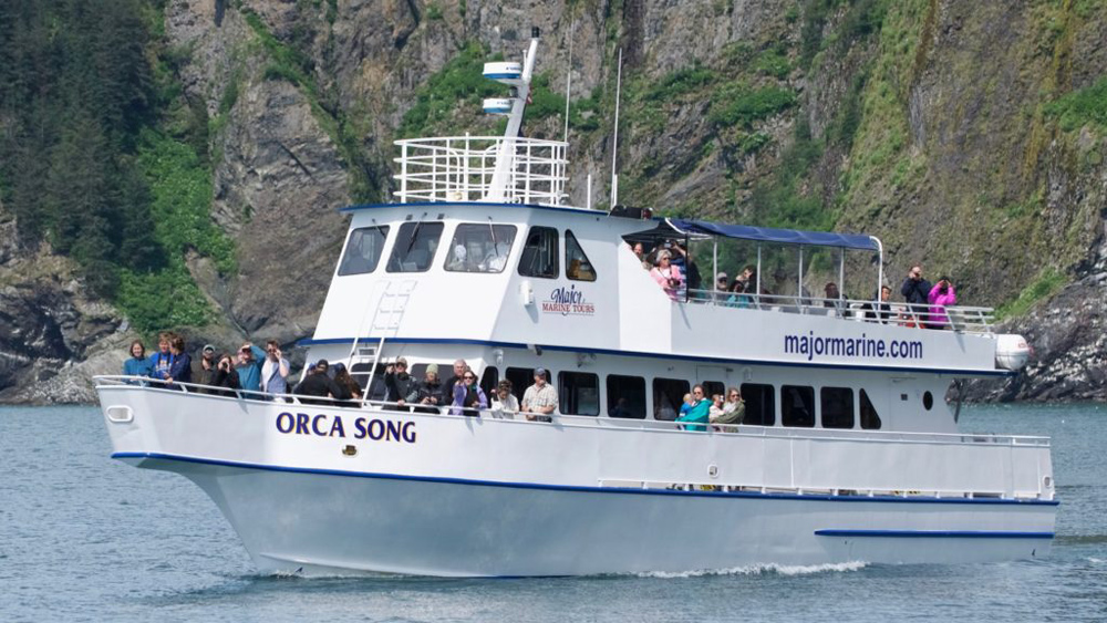 Whale Watching Tours In Alaska 1000