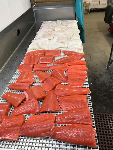 Alaska Fishing And Lodging Processing Salmon And Halibut 450x600