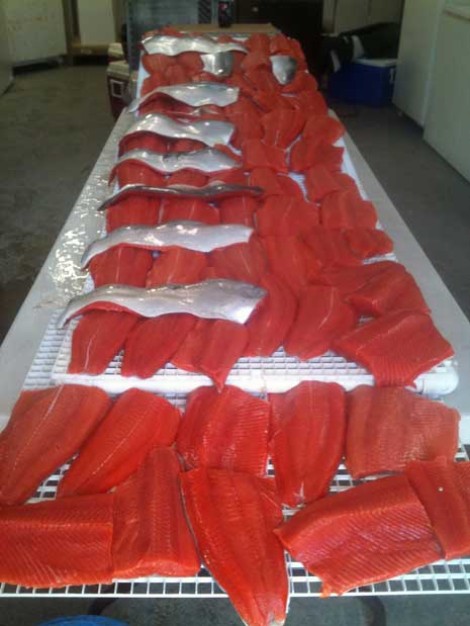 Alaska Fishing Lodge Fish Packaging Service 465x620